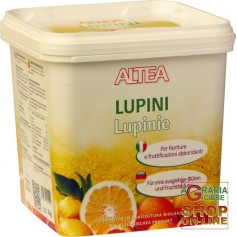 ALTEA LUPINS GROUND FOR THE FERTILIZATION OF CITRUS fruits AND ACIDOPHILIC Kg 3