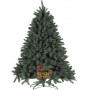 CHRISTMAS TREE SIBERIAN PINE