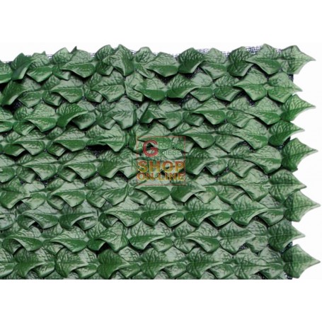 ARELLE HEDGE EVERGREEN IVY MT. 1,5X3