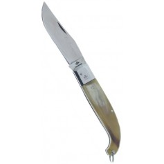 Fraraccio coltello scarperia manico corno cm. 20 cod. 0408/506-2