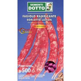 SEMI DI FAGIOLO BORLOTTO RAMPICANTE LAMON GR. 500