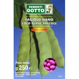 SEMI DI FAGIOLO COCO BIANCO PRECOCE NANO GR. 250